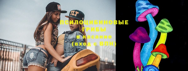 амф Инта