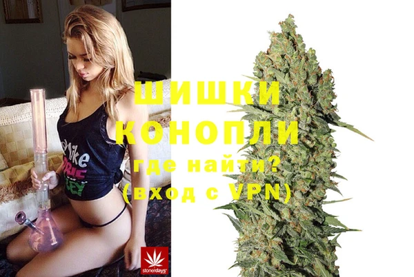 амф Инта