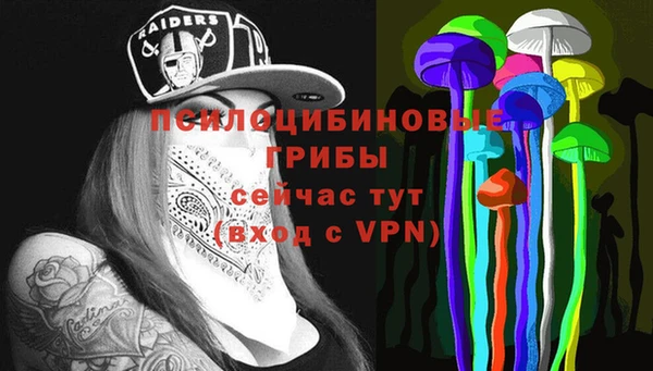 амф Инта