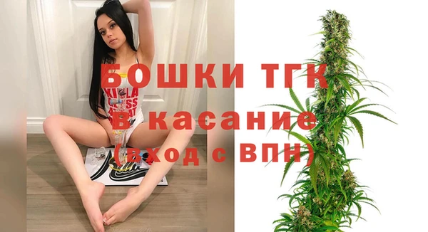 амф Инта