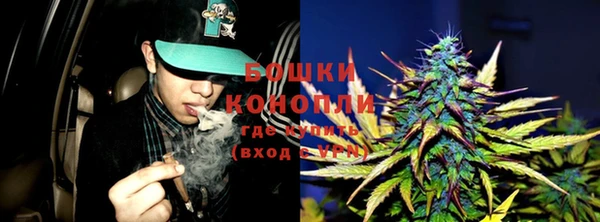 амф Инта
