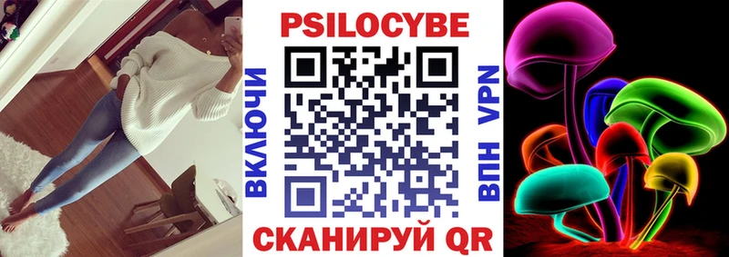 Купить закладки  Славгород  Псилоцибиновые грибы мухоморы 