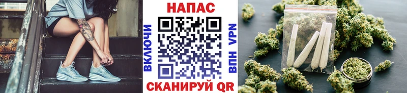 Купить  Славгород  Канабис план 